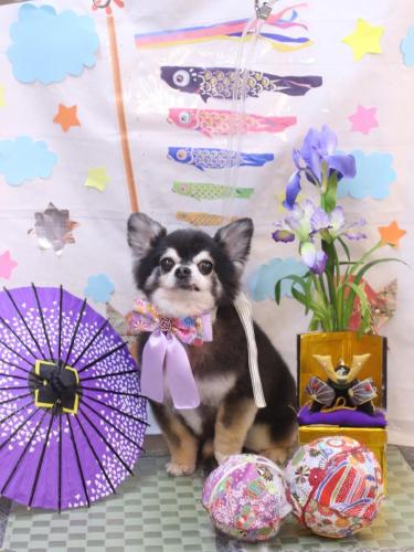 20240530らくくん